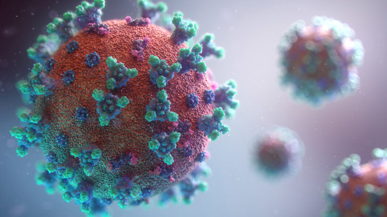 Coronavirus, SARS-CoV-2 and the spread of Covid 19