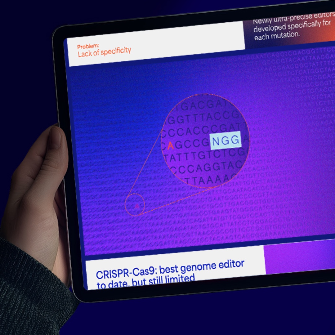 Nerai Branding: Pitch Deck