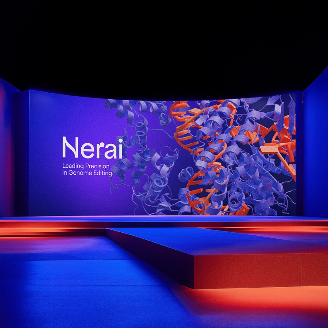 Nerai Branding: Presentation