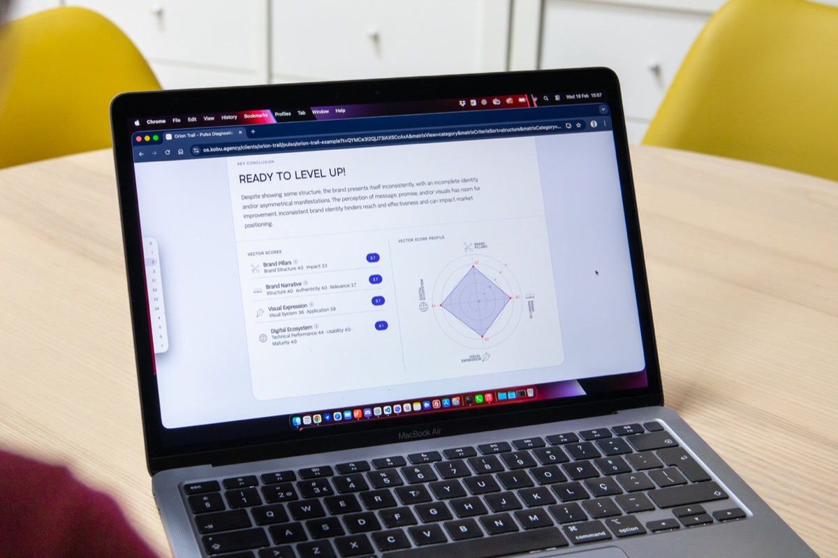 Inside the Pulso™ report